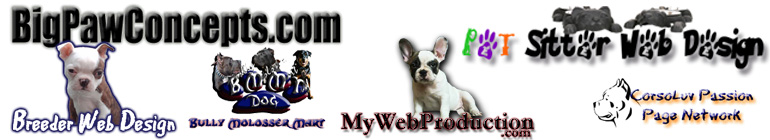 Big Paw Concepts header image 1